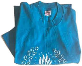 Vintage Stedman Super Hi Cru Circle Of Excellence XL Blue 100 Percent Cotton T Shirt