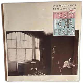 Tears For Fears Everybody Wants To Rule The World 12 Inch Vinyl Single 1985