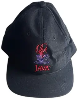Vintage Sun Microsystems Java Promo Hat Adjustable Black Cotton Programmer Swag CPS