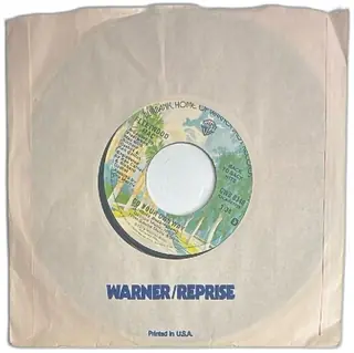 Fleetwood Mac Dreams Go Your Own Way 7 Inch 45 RPM Vinyl Single Warner GWB 0348