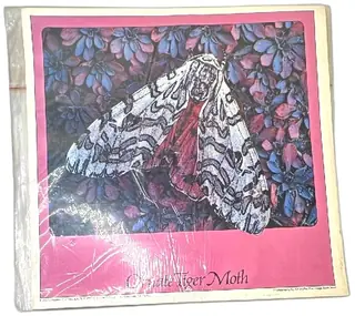 1985 Ornate Tiger Moth Poster Butterfly Series Art Wolfe Image Bank Nature Wall Art