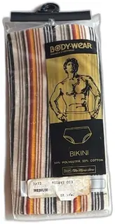Vintage Sears Bodywear Mens Bikini Underwear Medium Striped 50 Cotton 50 Polyester NI