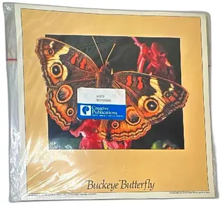 1985 Creative Publications Buckeye Butterfly Poster Chuck Place Nature Photo NOS