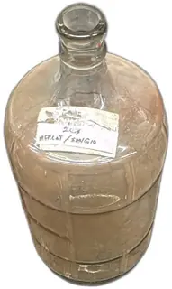 Vintage 5 Gallon Glass Carboy Jug 1990 Embossed Home Winemaking Demijohn Clear