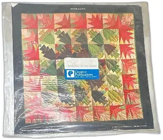 1982 Michael James Quilt Pattern Posters Creative Publications Set Winter Cactus Cube