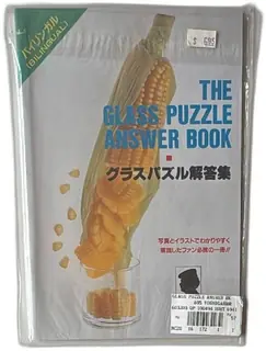 The Glass Puzzle Answer Book 1991 Bilingual Toyo Glass Puzzle City Dept Japan