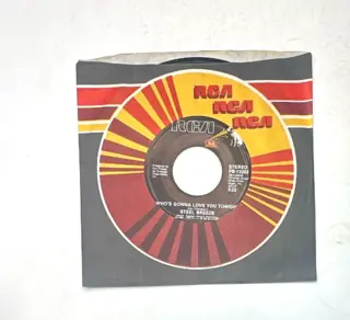 Steel Breeze 1982 RCA 45 RPM Vinyl Single You Dont Want Me Anymore Whos Gonna Love Yo