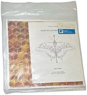 1978 Math In Nature Posters Creative Publications Teacher Guide Honeycomb Butterfly
