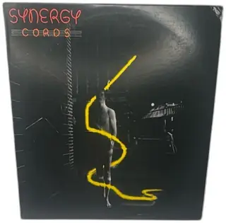 Synergy Cords Vinyl LP 1978 Passport Records PB 6000 Larry Fast Electronic Album