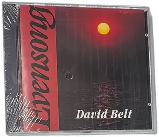 David Belt Evensong CD 1991 Shining Eagle Records New Sealed Instrumental